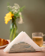 BlueWave tissue holder