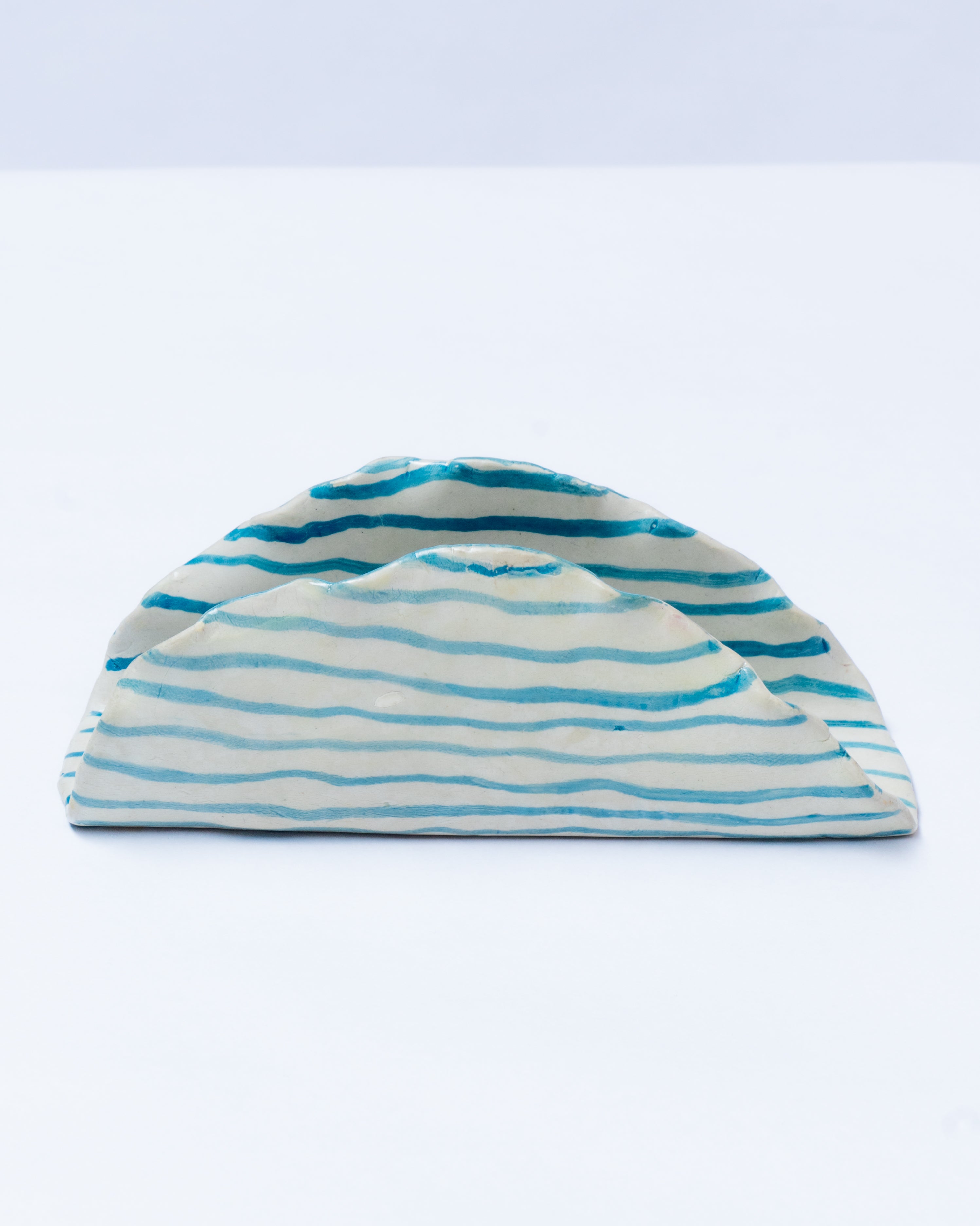 BlueWave tissue holder