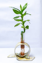 Fold Pot ceramic planter